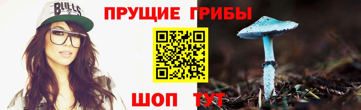 Галлюциногенные грибы Cubensis Шелехов